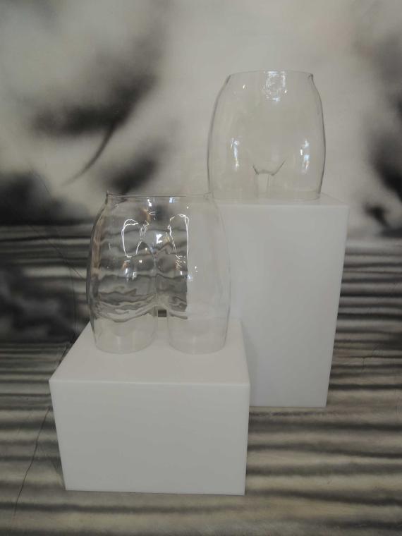 CLEAR WOMAN PELVIS SHAPE DISPLAY FORM
