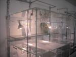 CRYSTAL GLASS DISPLAY CASE WITH SPOTLIGHTS - photo 1